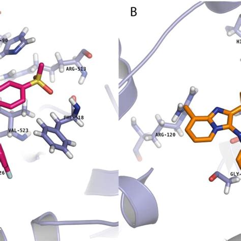 Binding Model Of Compound 5h A 5n B In COX 2 6COX Active Site