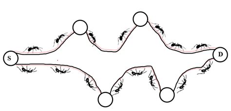 Ants Colony Illustration | Download Scientific Diagram