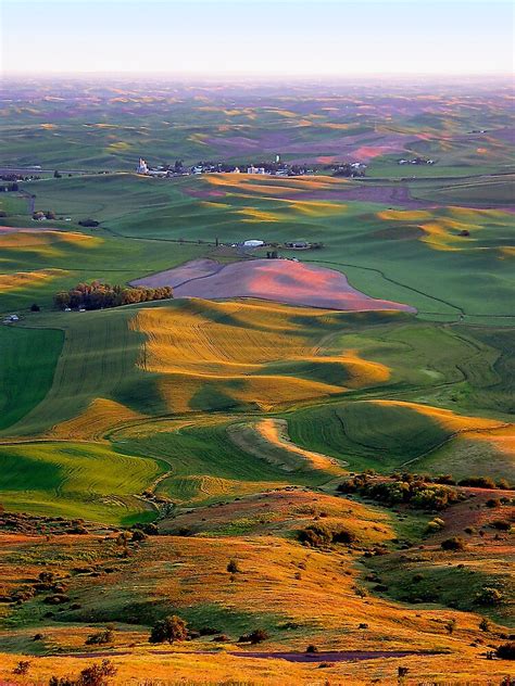 "Steptoe Butte - Palouse, WA" by Kathleen Jones | Redbubble