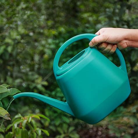 Amazon Garden Watering Can at Debra Baughman blog