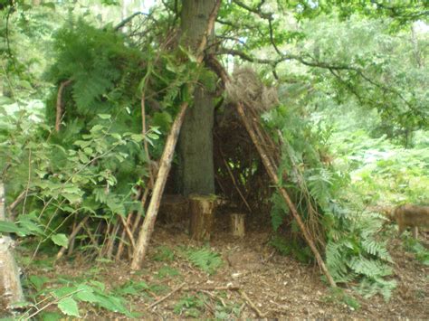 Den Building Competition In Bourne Wood Friends Of Bourne Woods