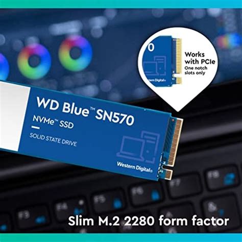 Western Digital WD Blue SN5000 1TB vs WD Blue SN570 1TB SSD Comparison ...