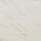 Daltile Selwyn Bianco Calacatta Matte 12 In X 24 In Glazed Porcelain