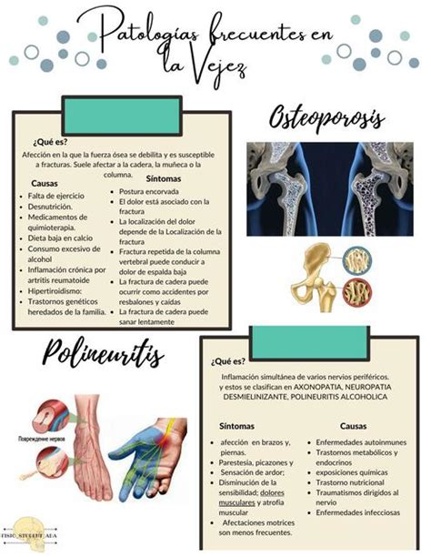 Patolog As Frecuentes En La Vejez Geriatr A Fisio Ada Udocz