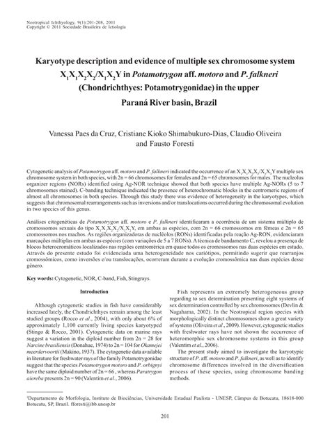 Pdf Karyotype Description And Evidence Of Multiple Sex Chromosome