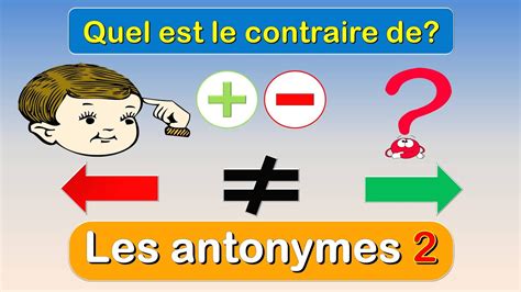 Les Antonymes Quel Est Le Contraire Du Mot Apprendre Le Vocabulaire