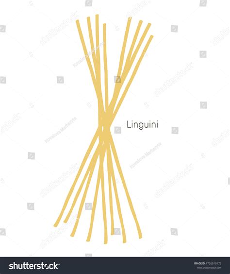 Linguini Realistic Dry Macaroni Various Kinds Stock Vector Royalty Free 1726919176 Shutterstock