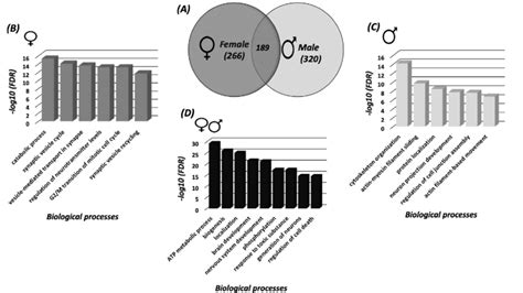 Systems Biology Analysis Of The Sno Proteins A Venn Diagram