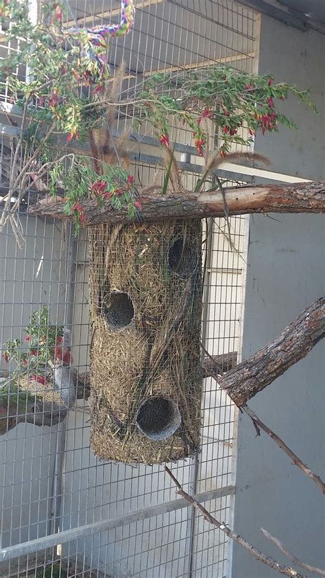 A Bird House Hanging From A Tree Branch