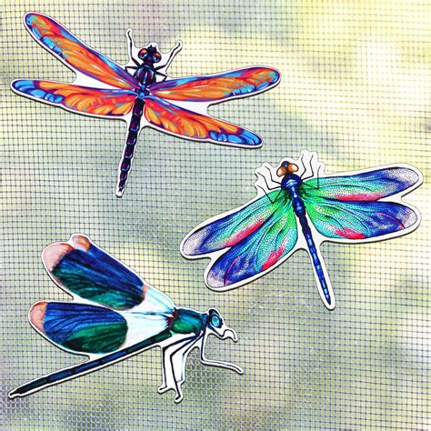 6 Pieces Dragonfly Screen Magnets Magnetic Flexible Screen Door Protector Decorative Screen Door