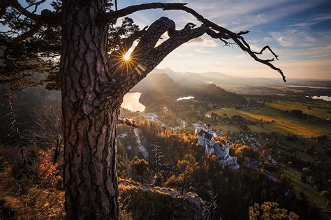 Neuschwanstein Castle Summer German Landmarks Bavarian Alps