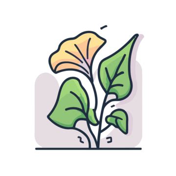 Datura Flower Icon Line Illustration Vector Diagram Of An Organic ...