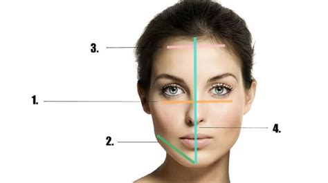 Whats Your Face Shape Makeup Tutorials Guide Face Shapes