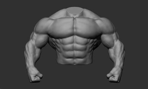 4 Male Torsos 3D Model CGTrader