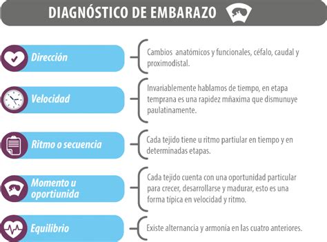 Unidad Did Ctica El Embarazo Parte Uno Licenciatura En Enfermer A