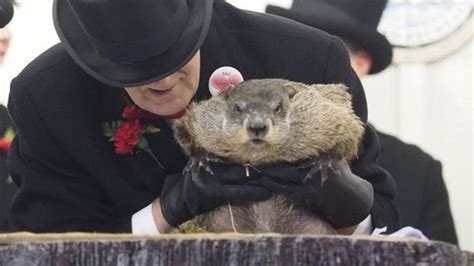 Punxsutawney Phil Wife Who Is She