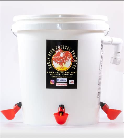 5 Gallon Chicken Waterer Automatic Etsy