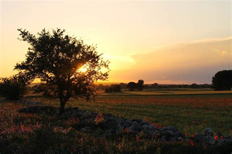 Cosa Vedere A Ruvo Di Puglia Guida Completa Iviaggidiliz