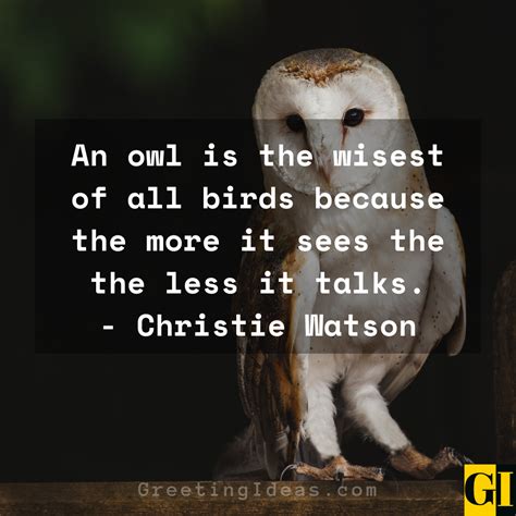 Wise Old Owl Quotes Sayings And Phrases