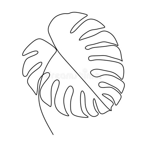 La Planta Del Delicosa De Monstera Sale Un Dibujo Lineal Continuo De