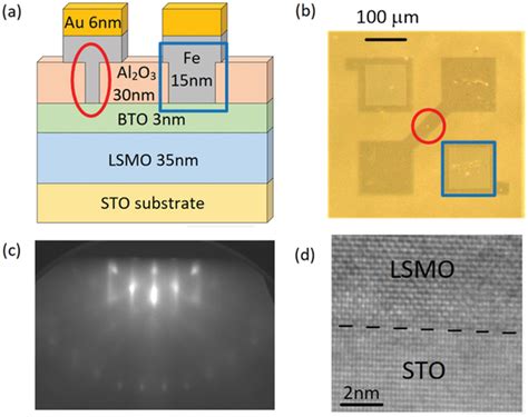 Schematic Representation Of A The Au Fe BTO LSMO STO Multilayer System