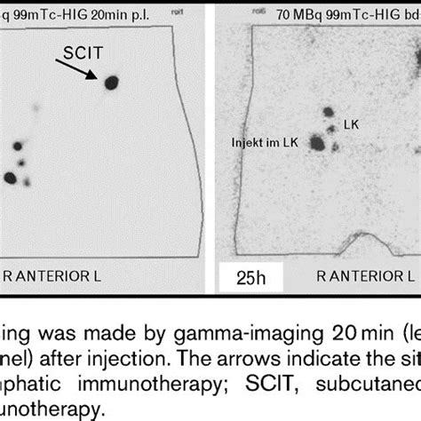 Expected Immune Response As A Function Of Immunizing Dose And The Route