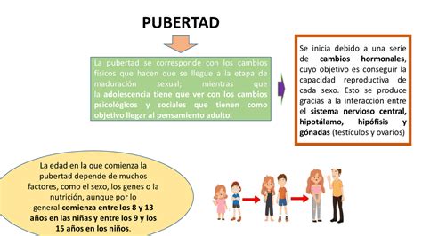 Guía Completa Descubre Los Cambios Físicos Durante La Pubertad