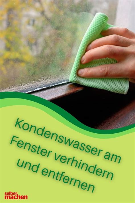 Tipps gegen Kondenswasser an deinem Fenster So behältst du den