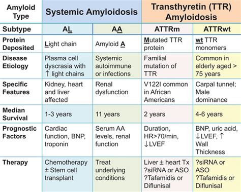 Wild Type Transthyretin Amyloid Cardiomyopathy Circulation