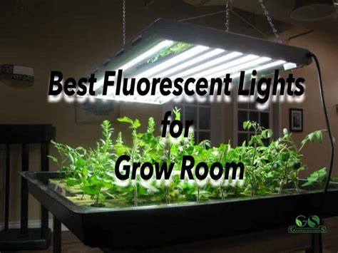 Will Regular Fluorescent Lights Grow Plants At Timothy Isakson Blog