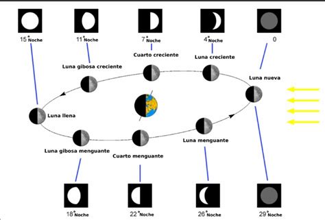 Fases De La Luna Y Su Influencia Personas Tierra Alma