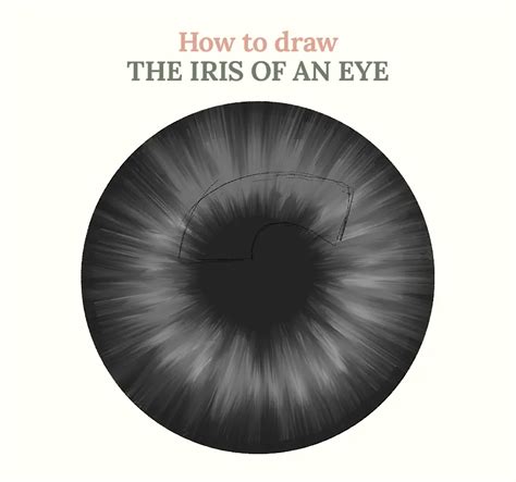 How to draw the iris of the eye | Step by step method