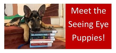 Meet The Seeing Eye Puppies Dorothy Henry Branch Of The Sussex County