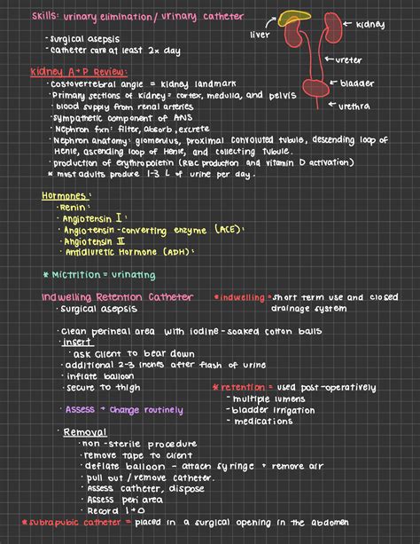 Med Surg Skills Urinary Catheter - NURS 120 - WCU - Studocu