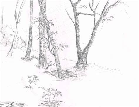 Trees in My Backyard - Pencil Sketch by Bryant Lawler
