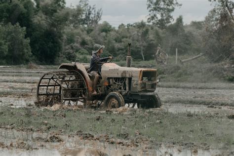 Agriculture Artigos Wikifarmer