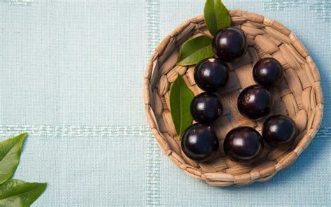 Veja Como Plantar Jabuticaba No Vaso Pelo Caro O Horta Jardim Cia