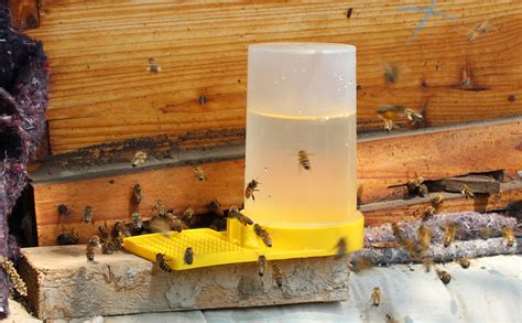 Hpamba Distributeur D Eau Pour Abeilles Distributeur D Eau D Apiculture