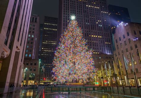 10 Most Beautiful Christmas Trees In New York Cuddlynest