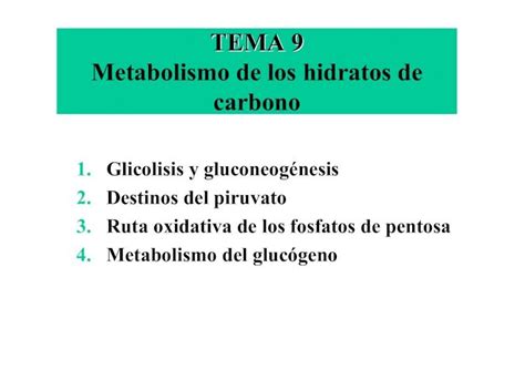 Pdf Metabolismo De Los Hidratos De Carbono Uv Esmcostell Documentos