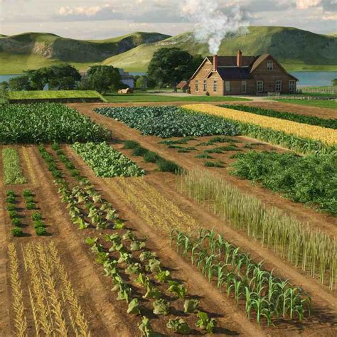 farm planning characteristics  techniques notes  ag