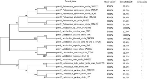 Frontiers Effects Of Phytic Acid Degrading Bacteria On Mineral