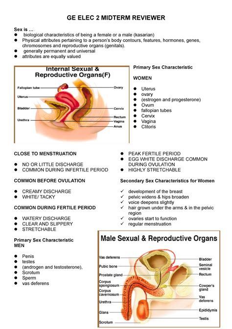 Geelecmidterm Na Ge Elec 2 Midterm Reviewer Sex Is Biological