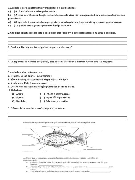 Peixes E Anfibios Pdf Anfíbio Peixes