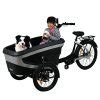 Heavy Duty Electric Postie Tricycle For Parcel Delivery Kk Kuake