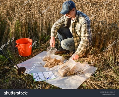 Agronomy Specialist Preparing Soil Samples Laboratory Stock Photo