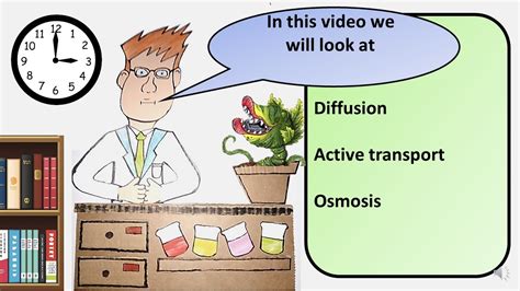 Gcse Biology Diffusion Active Transport And Osmosis Revision Youtube