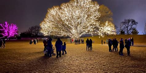 tree  life  draper city park utah travel guide