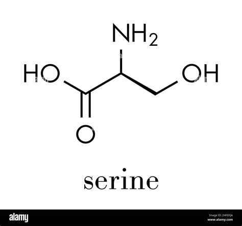 Molécula de aminoácidos serina Imágenes vectoriales de stock Alamy