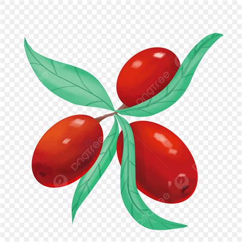 Jujube Clipart Transparent Png Hd Red Jujube Cute Hand Drawn